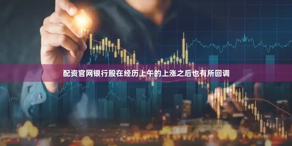 配资官网银行股在经历上午的上涨之后也有所回调