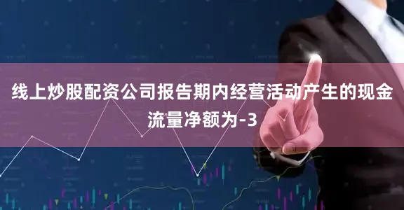 线上炒股配资公司报告期内经营活动产生的现金流量净额为-3
