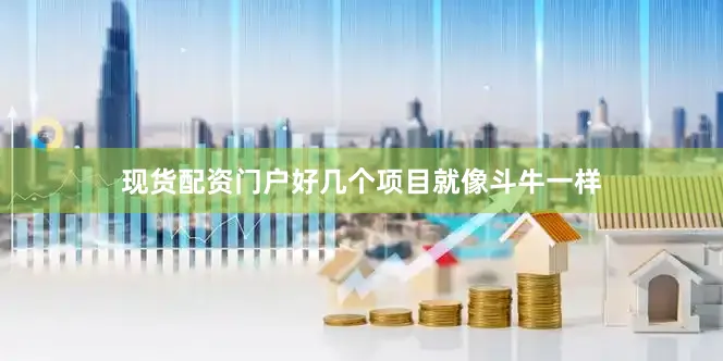 现货配资门户好几个项目就像斗牛一样
