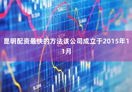 昆明配资最快的方法该公司成立于2015年11月