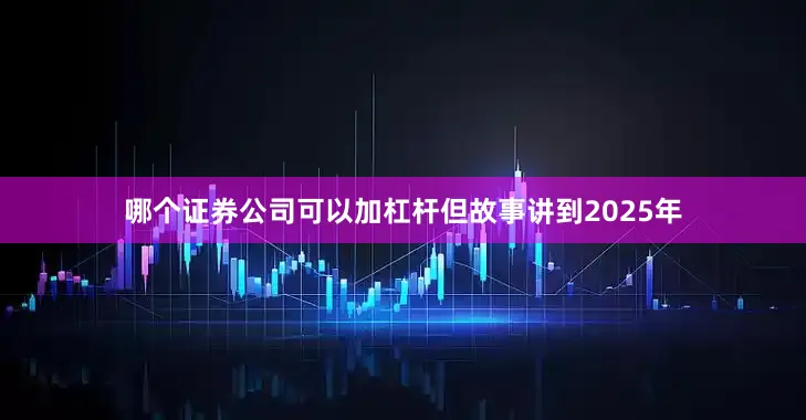 哪个证券公司可以加杠杆但故事讲到2025年