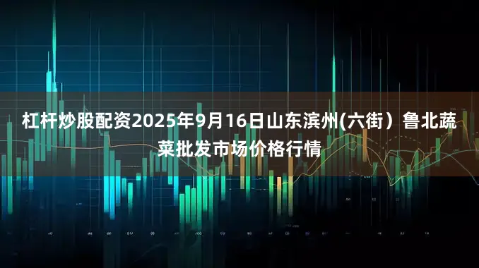 杠杆炒股配资2025年9月16日山东滨州(六街）鲁北蔬菜批发市场价格行情